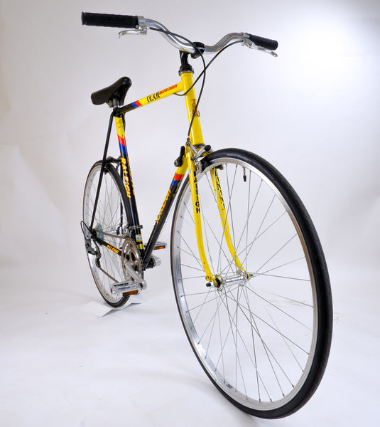 Raleigh banana 2025