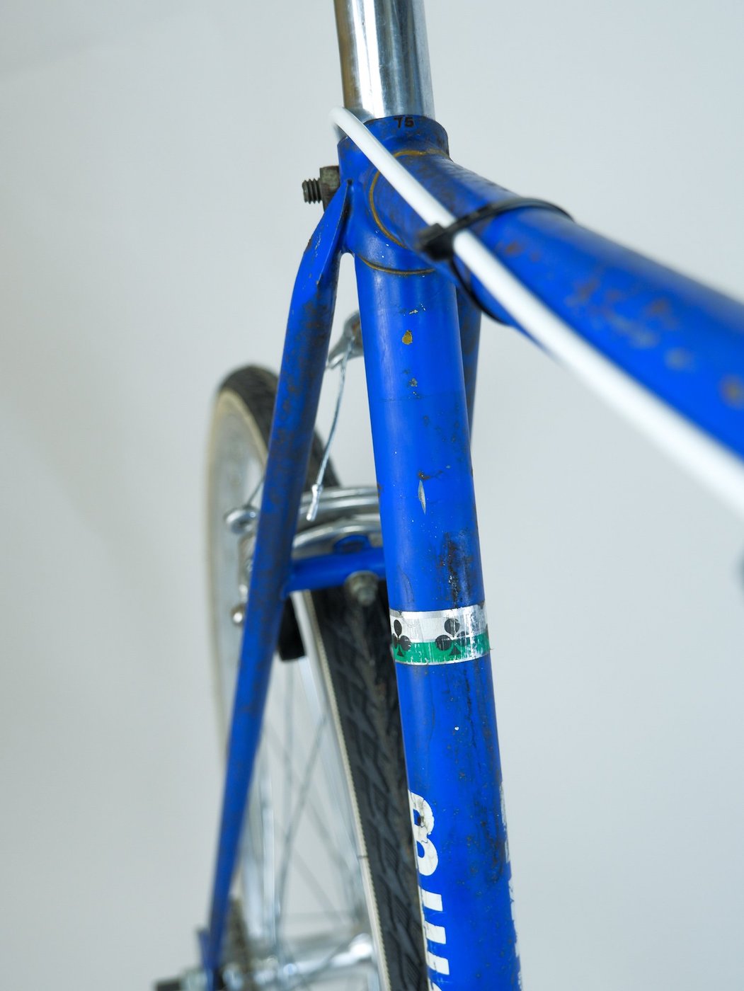 Bertin Classic Steel Single Speed Road Bicycle | 57 cm