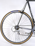 U.Scanini Vanmarcke marble 62cm bike rear wheel and cassette
