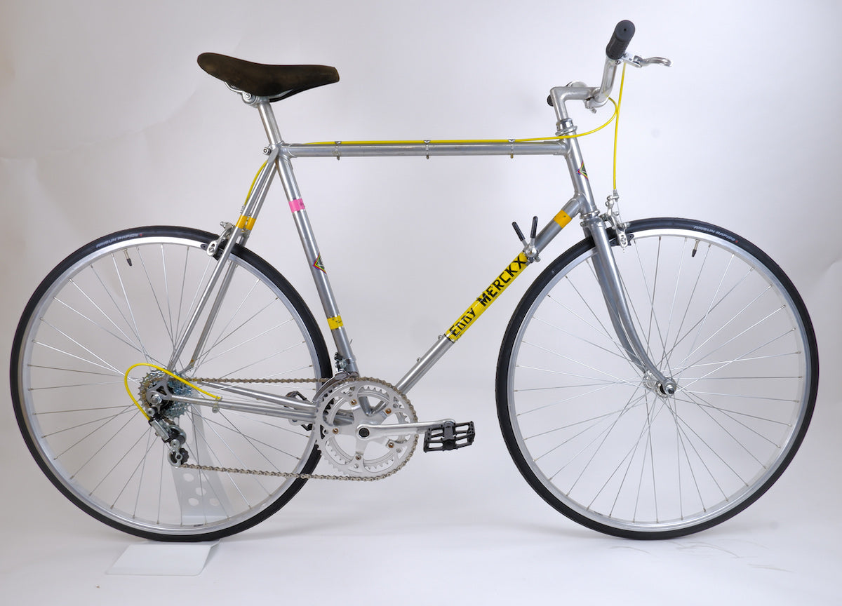 universal kickstand for bike