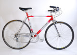 Steve Goff Red / Silver 48cm
