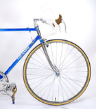Paganini Chrome & Blue 52.5cm