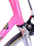 Moser Classic Italian Steel Single Speed Bicycle | 55cm