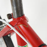 Willy Sport Steel Single Speed Bicycle | 54cm