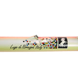 Somec white rainbow top tube decal and pantograph